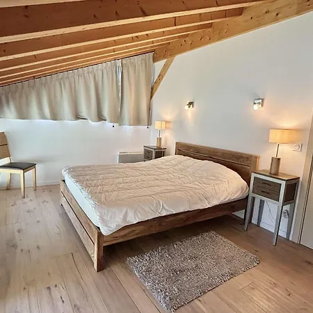 8 Pieces Avec Spa, Sauna, 15 Pers, A 800m Des Pistes, - Fr-1-595-1 * 圣母贝莱克
